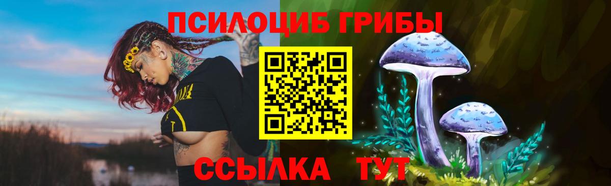 Псилоцибиновые грибы Cubensis Белорецк